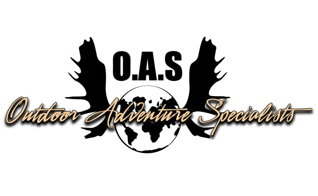 Logo Downloads