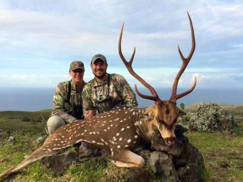 Hawaii Honeymoon Hunt