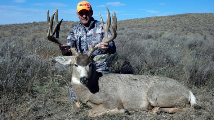 Colorado Mule Deer Whitetail