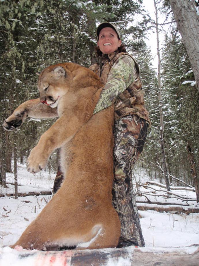 How Big is a Mountain Lion Compared to a Human  