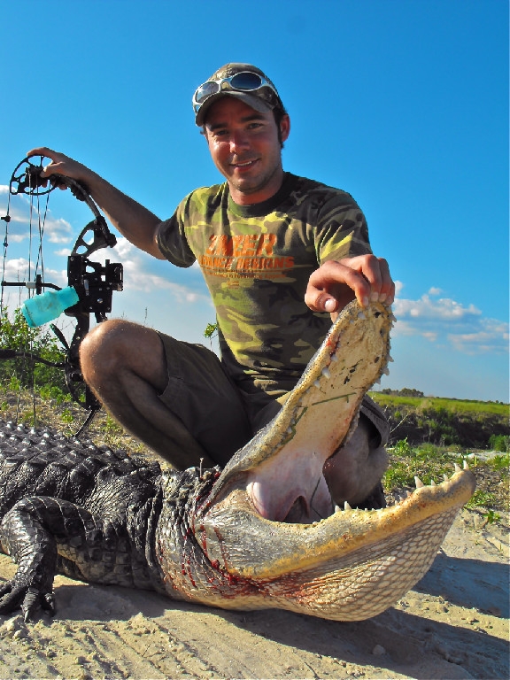 Alligator