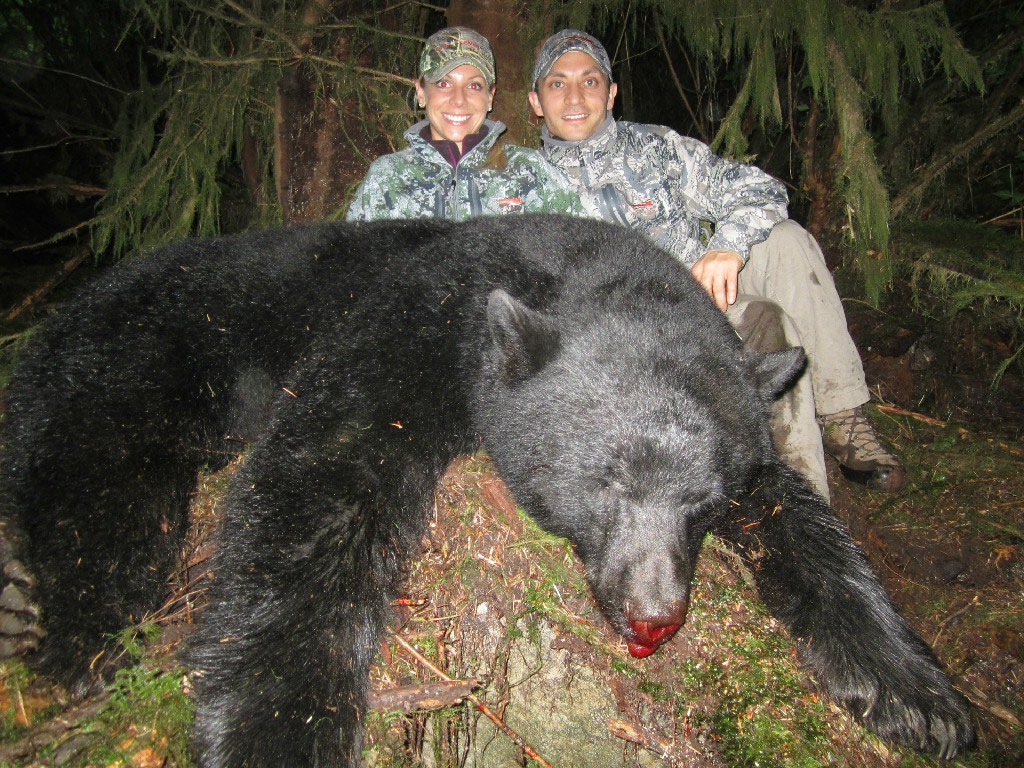 Black Bear